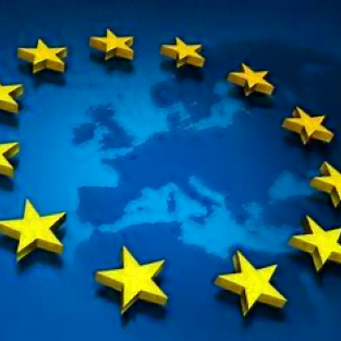 EU 313